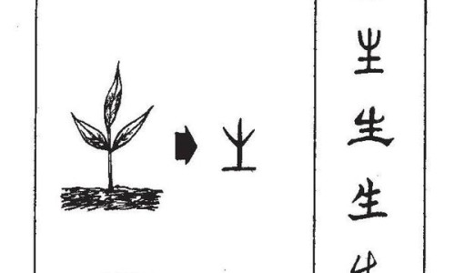 怀参图片大全大图-权威怀参片平台,分享专业怀参的功效与作用知识_怀参桂圆膏功效与作用网
